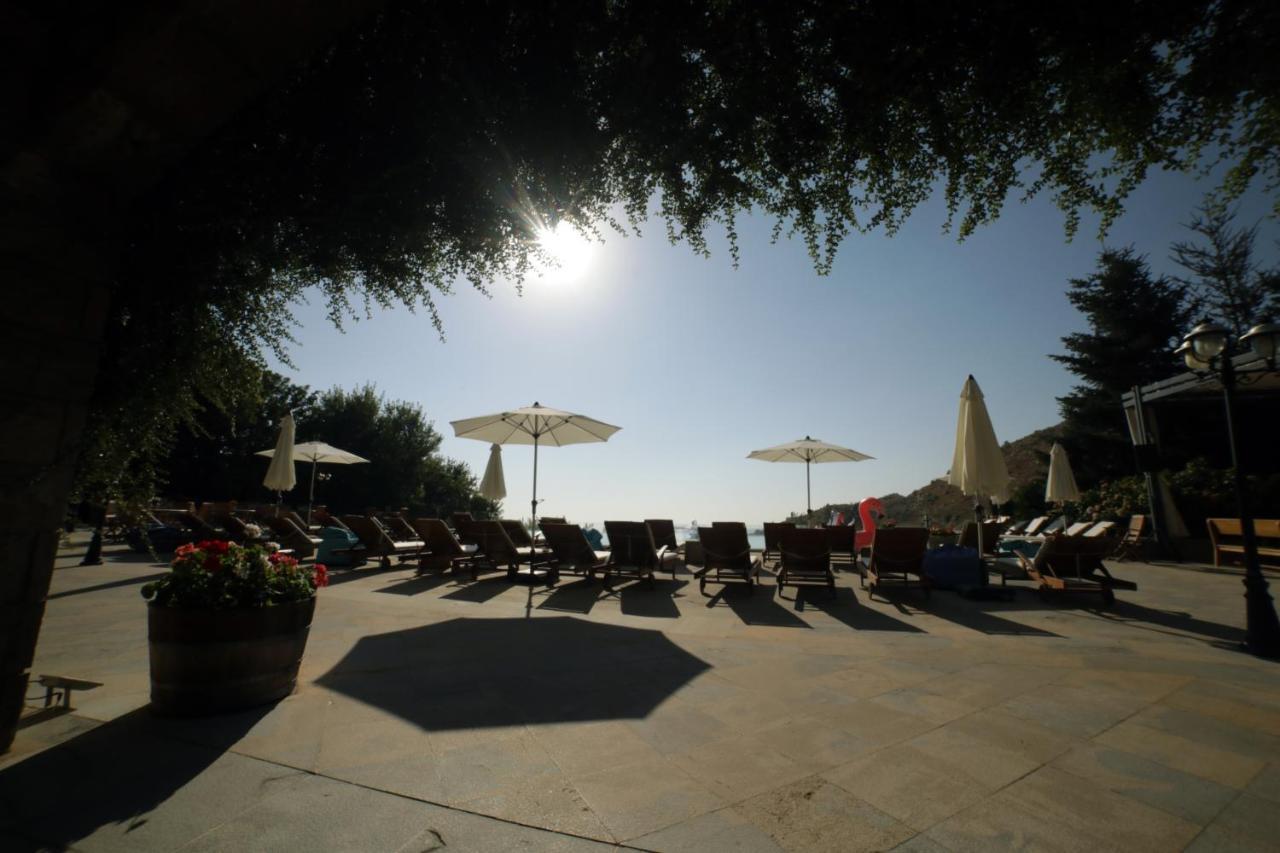Terre Brune Hotel Mzaar Kfardebian Экстерьер фото