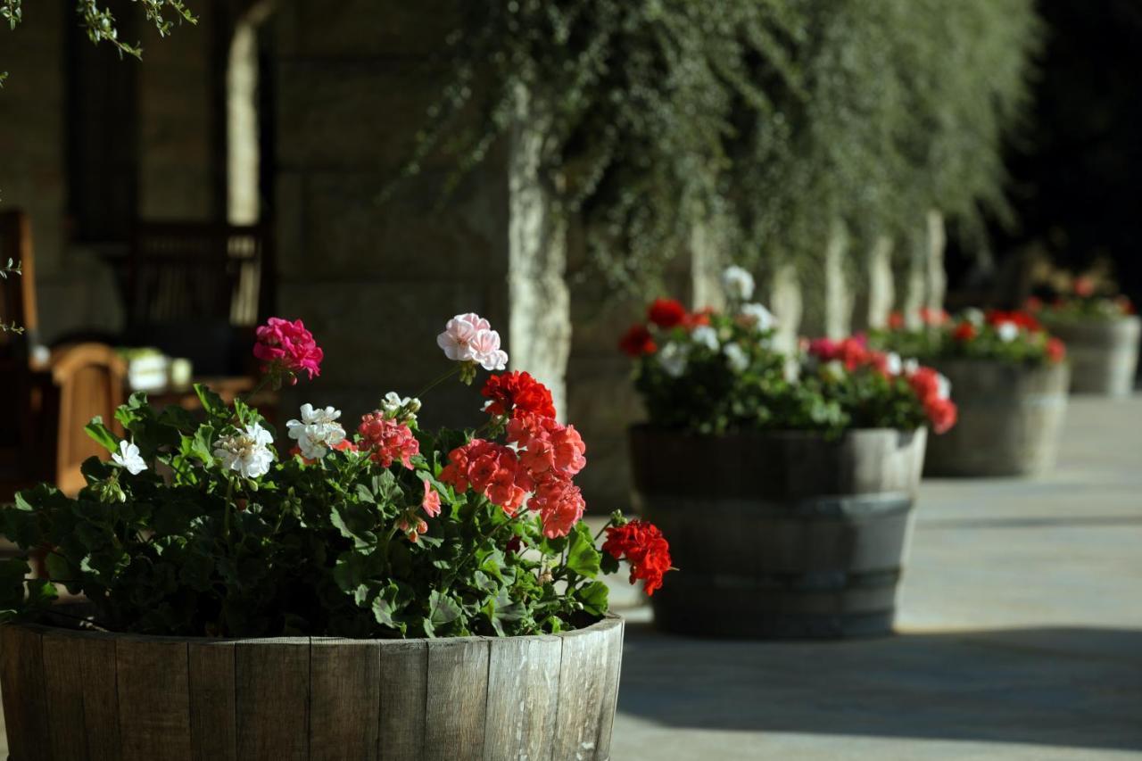 Terre Brune Hotel Mzaar Kfardebian Экстерьер фото